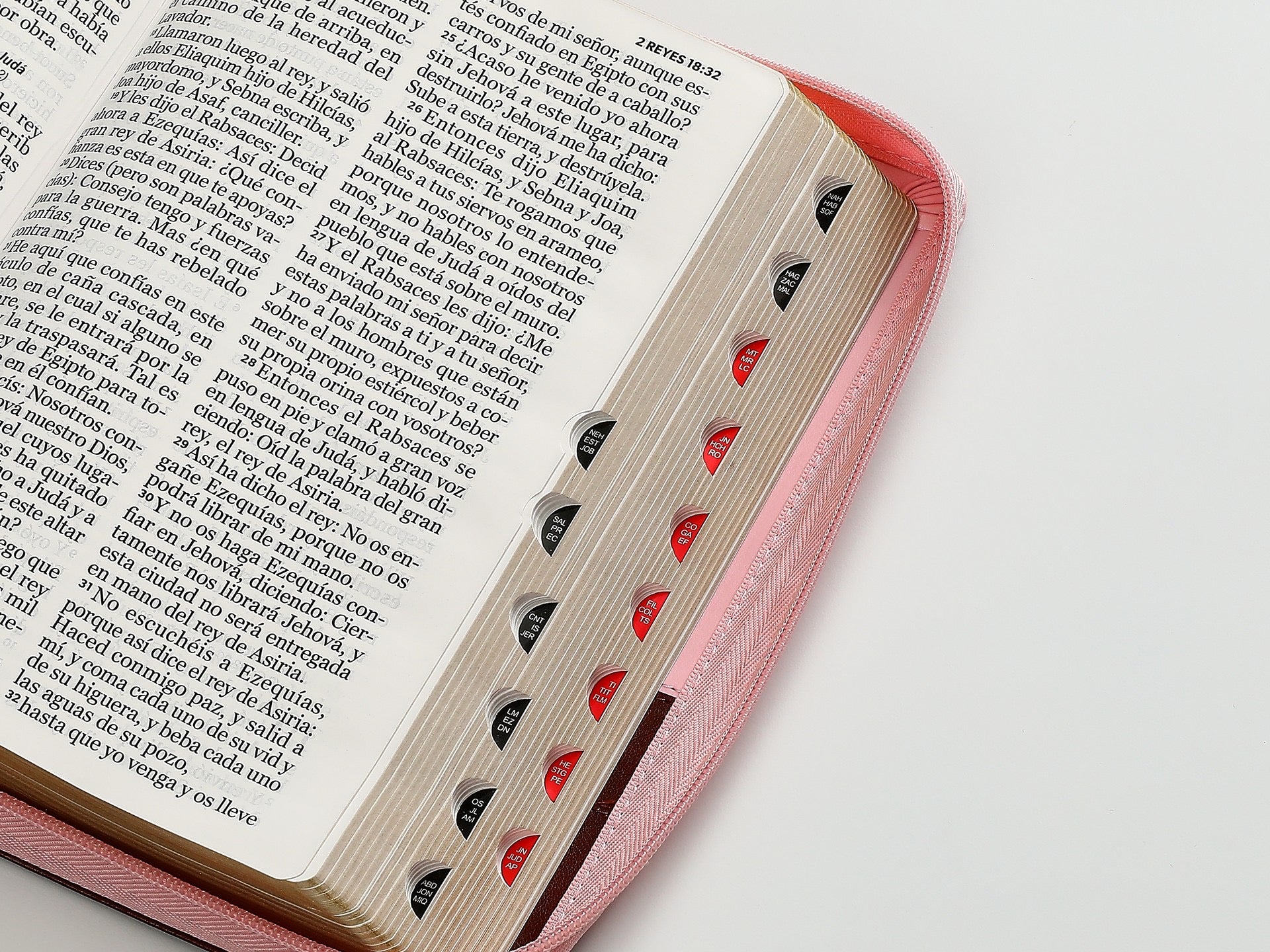 Biblia RVR60 TAmaño Manual letra Gigante 14 puntos
